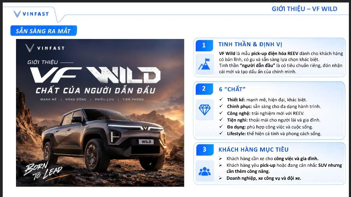 Giới thiệu, định vị và khách hàng mục tiêu của VinFast VF Wild